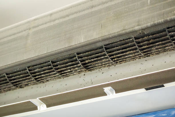 Best Ventilation Cleaning Services  in La Cygne, KS
